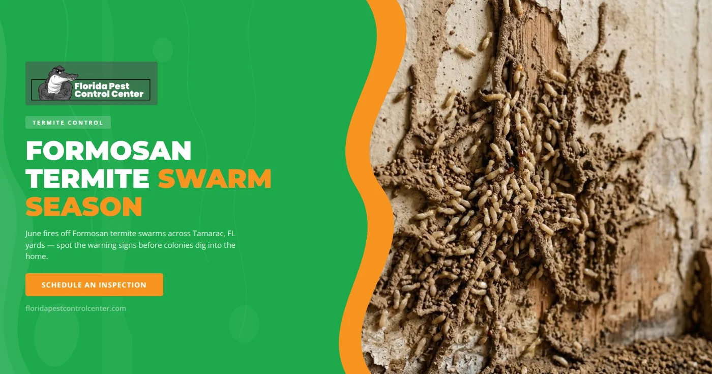 Formosan Termite Swarms in Tamarac, FL