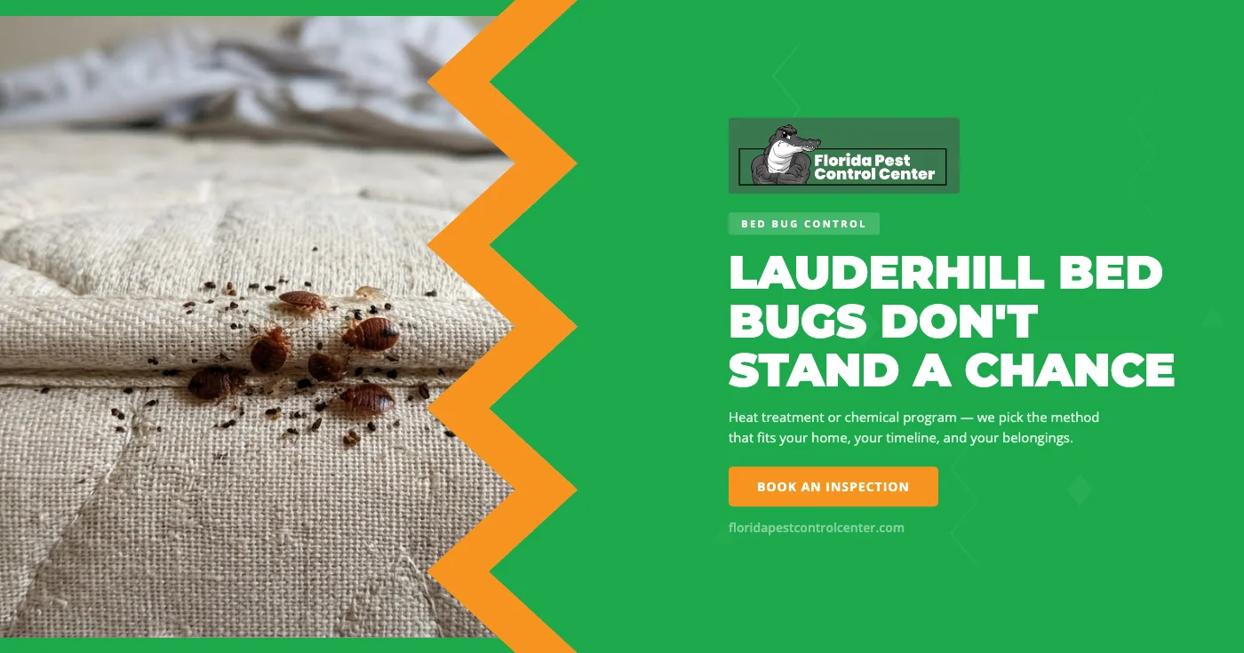 Heat vs. Chemical Bed Bug Treatment in Lauderhill, FL
