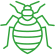 Bed Bug Control