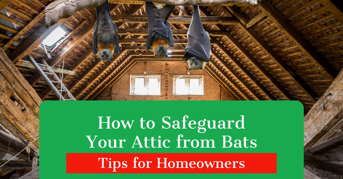 How to Safeguard Your Attic from Bats: Tips for Homeowners