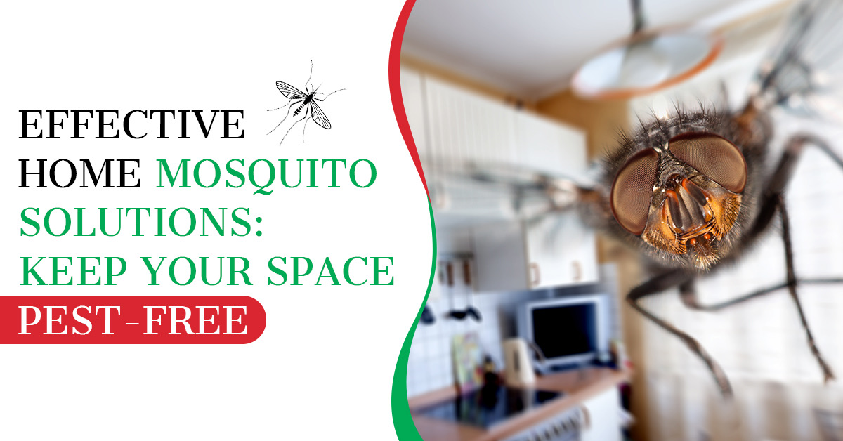 Effective Home Mosquito Solutions: Keep Your Space Pest-Free