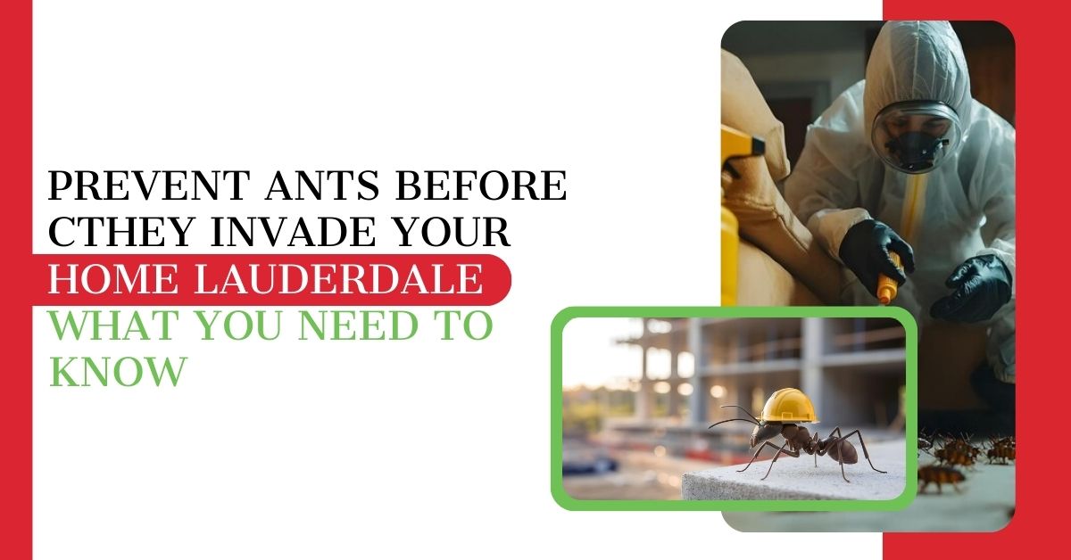 Prevent Ants Before They Invade Your Home: What You Need to Know